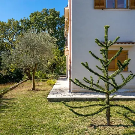 Blue Horizon 奥帕提亚